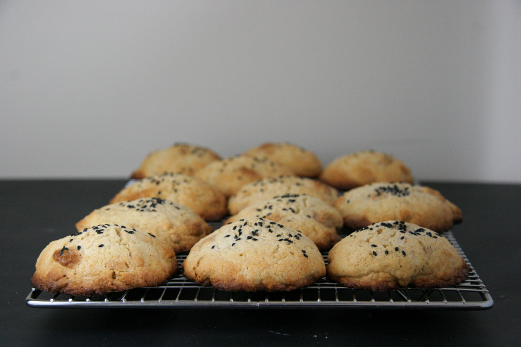 Halva Drop Biscuits I Will Not Eat Oysters
