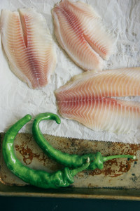 Spicy Moroccan Fish in a Tomato Sauce | I Will Not Eat Oysters