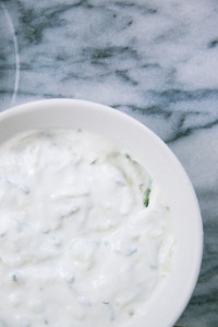 Grilled Chicken Kebab Bowls with Cucumber salad and Tzatziki | I Will Not Eat Oysters