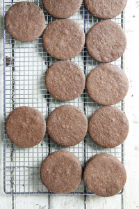 Thin Mints | Thin Chocolate Cashew Wafers with White Chocolate and Dehydrated Mint Powder | I Will Not Eat Oysters
