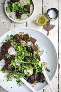 Spring Panzanella Salad with Fava Beans, Asparagus, Grilled Scallions, Radishes, Pea Shoots and Pumpernickel Croutons tossed with a Dill Vinaigrette | I Will Not Eat Oysters