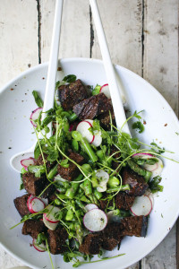 Spring Panzanella Salad with Fava Beans, Asparagus, Grilled Scallions, Radishes, Pea Shoots and Pumpernickel Croutons tossed with a Dill Vinaigrette | I Will Not Eat Oysters