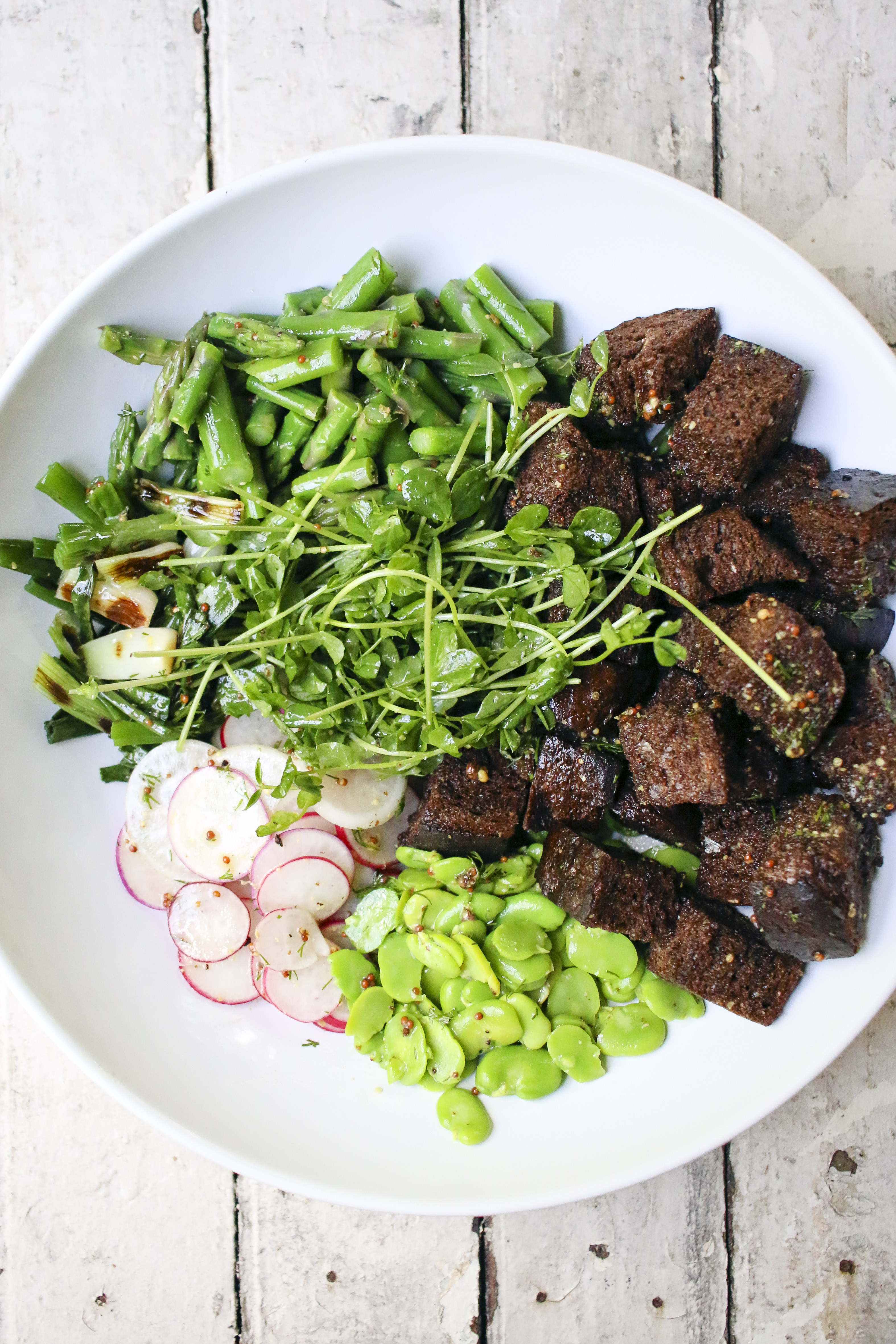 Spring Panzanella Salad with Fava Beans, Asparagus, Grilled Scallions, Radishes, Pea Shoots and Pumpernickel Croutons tossed with a Dill Vinaigrette | I Will Not Eat Oysters  