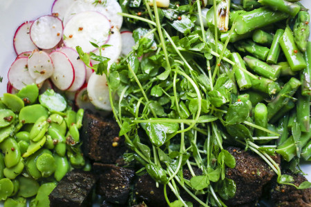 Spring Panzanella Salad with Fava Beans, Asparagus, Grilled Scallions, Radishes, Pea Shoots and Pumpernickel Croutons tossed with a Dill Vinaigrette | I Will Not Eat Oysters