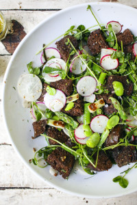 Spring Panzanella Salad with Fava Beans, Asparagus, Grilled Scallions, Radishes, Pea Shoots and Pumpernickel Croutons tossed with a Dill Vinaigrette | I Will Not Eat Oysters