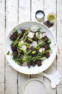 Spring Panzanella Salad with Fava Beans, Asparagus, Grilled Scallions, Radishes, Pea Shoots and Pumpernickel Croutons tossed with a Dill Vinaigrette | I Will Not Eat Oysters