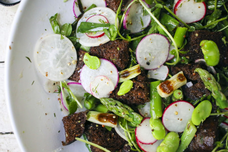 Spring Panzanella Salad with Fava Beans, Asparagus, Grilled Scallions, Radishes, Pea Shoots and Pumpernickel Croutons tossed with a Dill Vinaigrette | I Will Not Eat Oysters