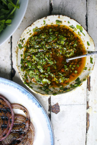 Grilled Steak & Onion Salad with Cilantro Chimichurri & Piquillo Pepper Balsamic Vinaigrette | I Will Not Eat Oysters