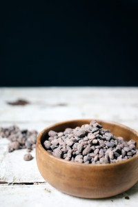 Whiskey Ice Coffee Popsicle with Cocoa Nibs | I Will Not Eat Oysters