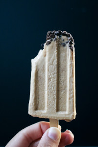 Whiskey Ice Coffee Popsicle with Cocoa Nibs | I Will Not Eat Oysters