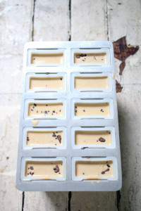 Whiskey Ice Coffee Popsicle with Cocoa Nibs | I Will Not Eat Oysters