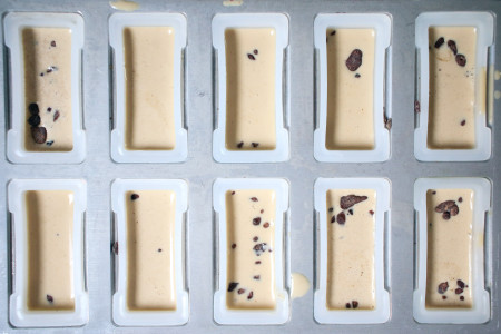 Whiskey Ice Coffee Popsicle with Cocoa Nibs | I Will Not Eat Oysters