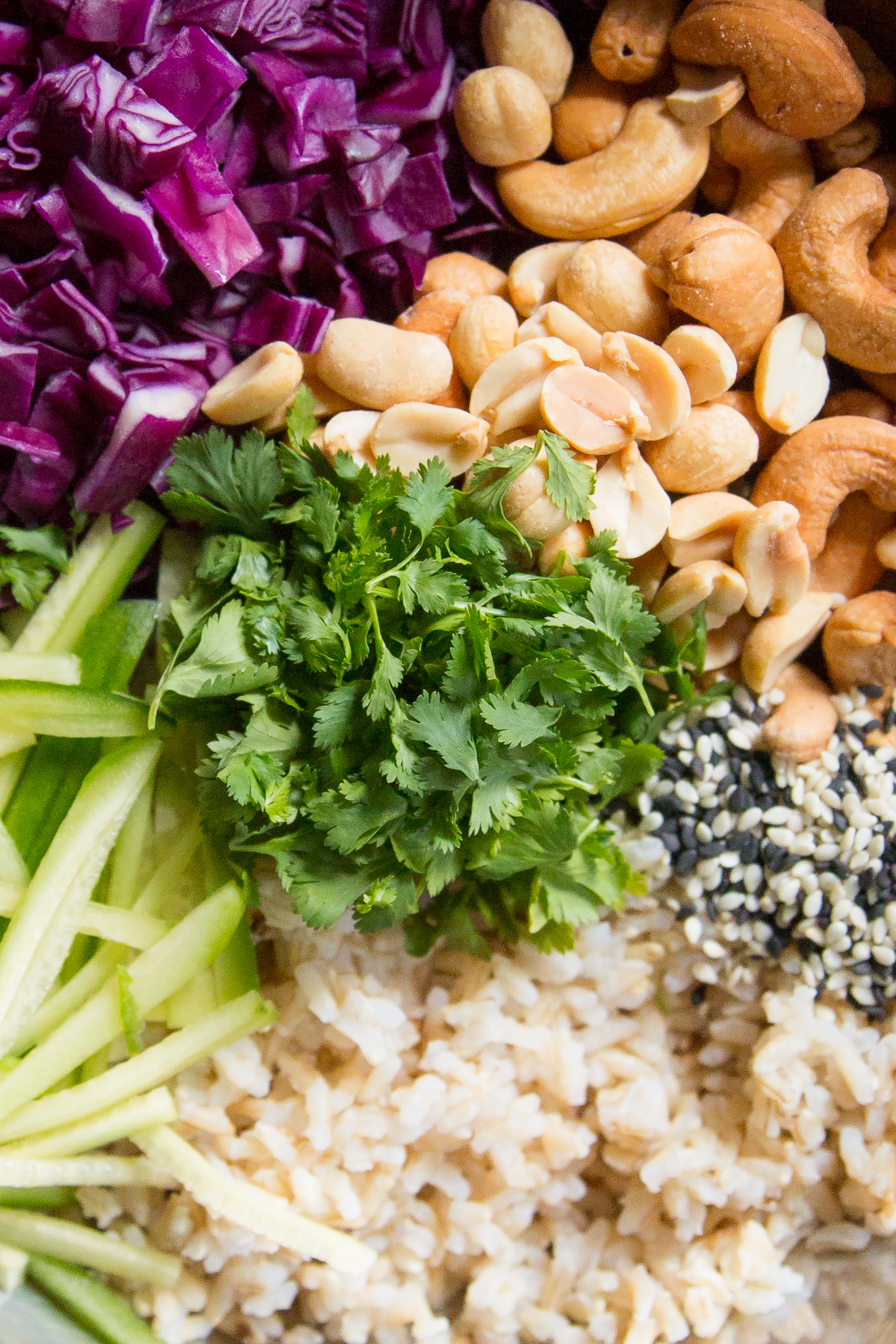 Brown Rice Salad with Tahini Soy Dressing