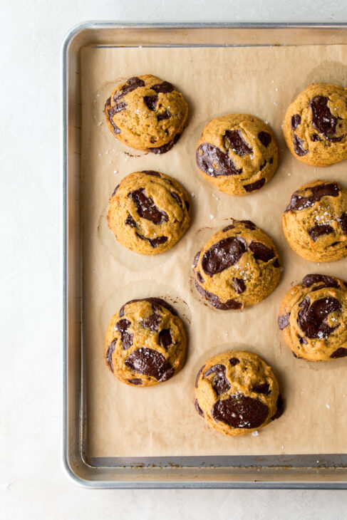 The Best CHEWY Pumpkin Chocolate Chip Cookie