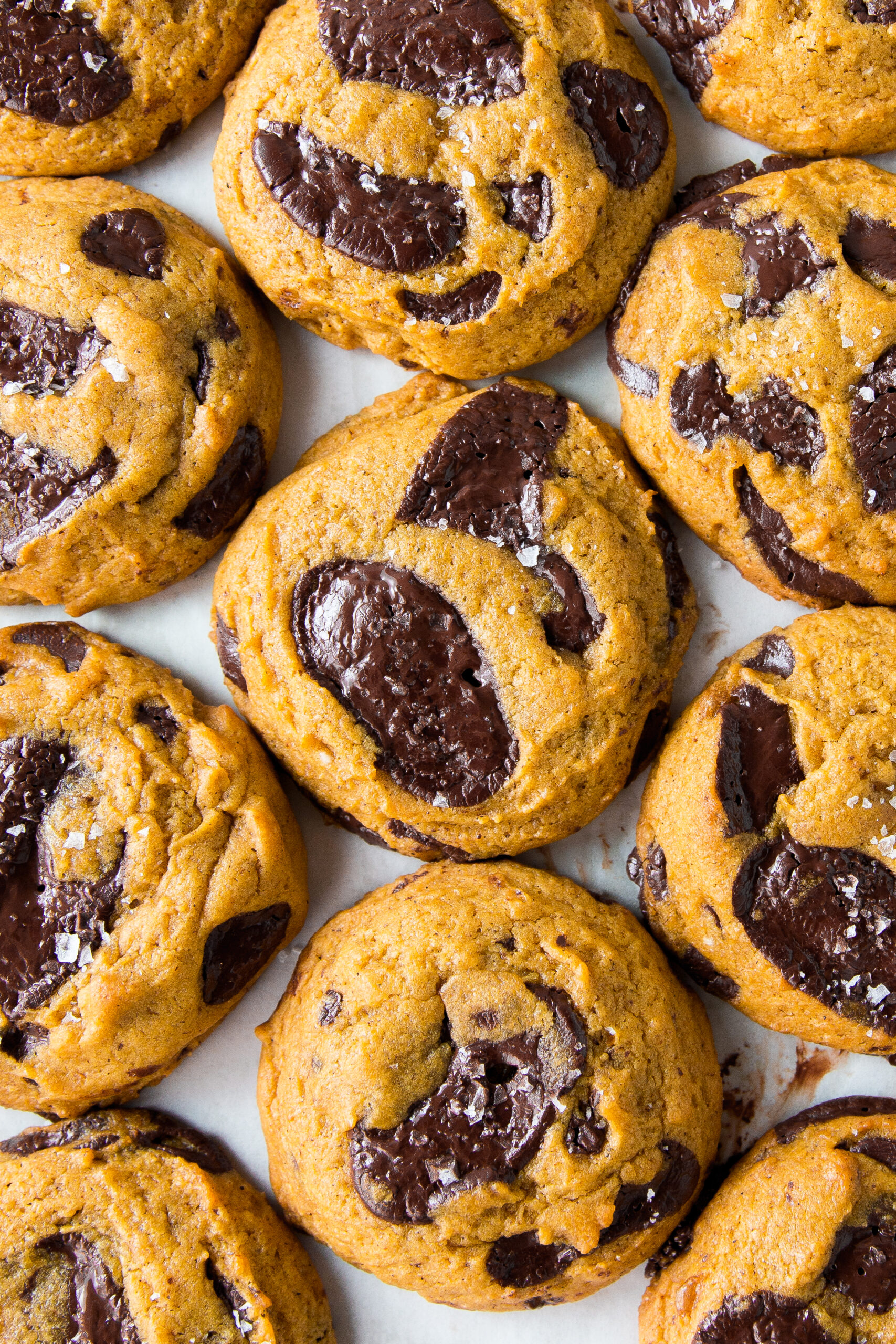The Best CHEWY Pumpkin Chocolate Chip Cookie